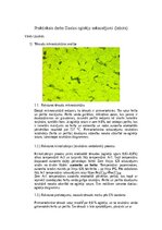 Конспект 'Dzelzs oglekļu sakausējumi', 2.