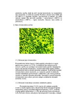Конспект 'Dzelzs oglekļu sakausējumi', 3.