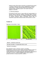 Конспект 'Dzelzs oglekļu sakausējumi', 4.