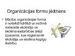 Презентация 'Mācību procesa organizācijas formu raksturojums', 2.
