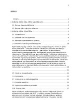 Конспект 'Biznesa plāna izstrādes vadlīnijas', 2.