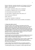 Конспект 'Biznesa plāna izstrādes vadlīnijas', 5.