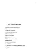 Конспект 'Biznesa plāna izstrādes vadlīnijas', 6.