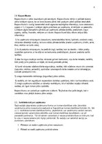 Конспект 'Biznesa plāna izstrādes vadlīnijas', 7.