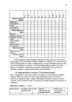 Конспект 'Biznesa plāna izstrādes vadlīnijas', 19.