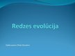 Презентация 'Redzes evolūcija', 1.