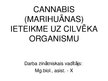 Эссе 'Marihuanas ietekme uz centrālo nervu sistēmu', 19.