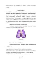 Реферат 'Bronhiālā astma', 7.