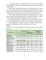 Отчёт по практике 'Finanšu vadības prakses atskaite', 20.