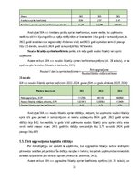 Отчёт по практике 'Finanšu vadības prakses atskaite', 33.