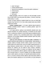 Отчёт по практике 'Darba likumdošana SIA "X"', 23.