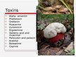 Презентация 'Mushroom Poisoning', 6.