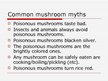 Презентация 'Mushroom Poisoning', 10.
