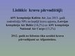 Презентация 'Lidostu loģistika Latvijā', 29.