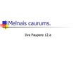 Презентация 'Melnais caurums', 1.