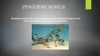 Презентация 'Zemūdens sports', 3.