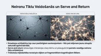 Презентация 'Ievads neirobioloģijā: agrīnās vides ietekme uz smadzeņu attīstību', 9.
