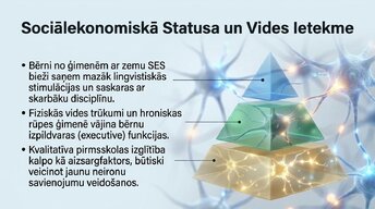 Презентация 'Ievads neirobioloģijā: agrīnās vides ietekme uz smadzeņu attīstību', 13.