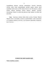 Отчёт по практике 'Teātra klubs "Austrumu robeža"', 8.