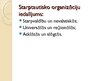 Презентация 'Starptautisko publisko tiesību subjekti', 17.