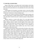 Конспект 'Tetovējums kā ķermeņa kultūras un identitātes parādība', 12.