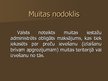 Презентация 'Muitas nodoklis', 3.