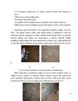 Реферат 'Nesošo mūra sienu remonts', 9.