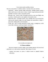 Реферат 'Nesošo mūra sienu remonts', 10.