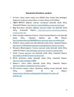 Реферат 'Nesošo mūra sienu remonts', 17.