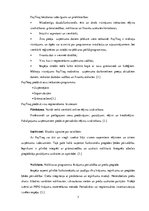 Реферат 'Mākoņa programmas', 7.