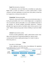 Реферат 'Mākoņa programmas', 8.