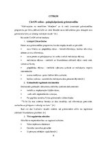 Реферат 'Mākoņa programmas', 9.