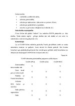 Реферат 'Mākoņa programmas', 10.