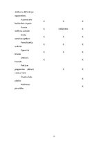 Реферат 'Mākoņa programmas', 11.