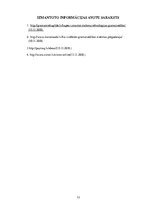 Реферат 'Mākoņa programmas', 13.