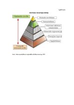 Реферат 'Atkritumu apsaimniekošana un pārstrāde Latvijā', 38.