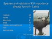 Презентация 'Nature Protection in Latvia', 7.