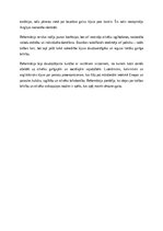 Эссе 'Reformācijas izplatība un būtiskākie virzieni', 2.