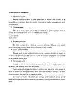 Конспект 'Didaktiskā spēle un rituāli pirmsskolas bērniem', 3.