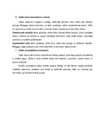 Конспект 'Didaktiskā spēle un rituāli pirmsskolas bērniem', 4.