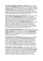 Конспект 'Maiju civilizācija: vēsture, kultūra, mitoloģija, sabiedrība un kultūras mantoju', 3.