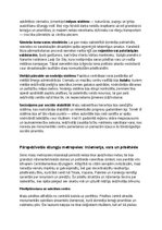 Конспект 'Maiju civilizācija: vēsture, kultūra, mitoloģija, sabiedrība un kultūras mantoju', 16.