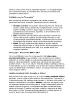Конспект 'Maiju civilizācija: vēsture, kultūra, mitoloģija, sabiedrība un kultūras mantoju', 19.