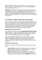 Конспект 'Maiju civilizācija: vēsture, kultūra, mitoloģija, sabiedrība un kultūras mantoju', 22.