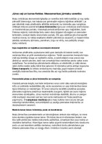Конспект 'Maiju civilizācija: vēsture, kultūra, mitoloģija, sabiedrība un kultūras mantoju', 28.
