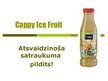 Презентация 'Cappy Ice Fruit piedāvātie produkti', 1.