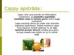 Презентация 'Cappy Ice Fruit piedāvātie produkti', 8.