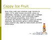Презентация 'Cappy Ice Fruit piedāvātie produkti', 9.