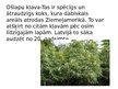 Презентация 'Invazīvās sugas Latvijā', 3.