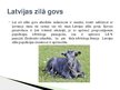 Презентация 'Lauksaimniecības dzīvnieki: govis, aitas', 9.